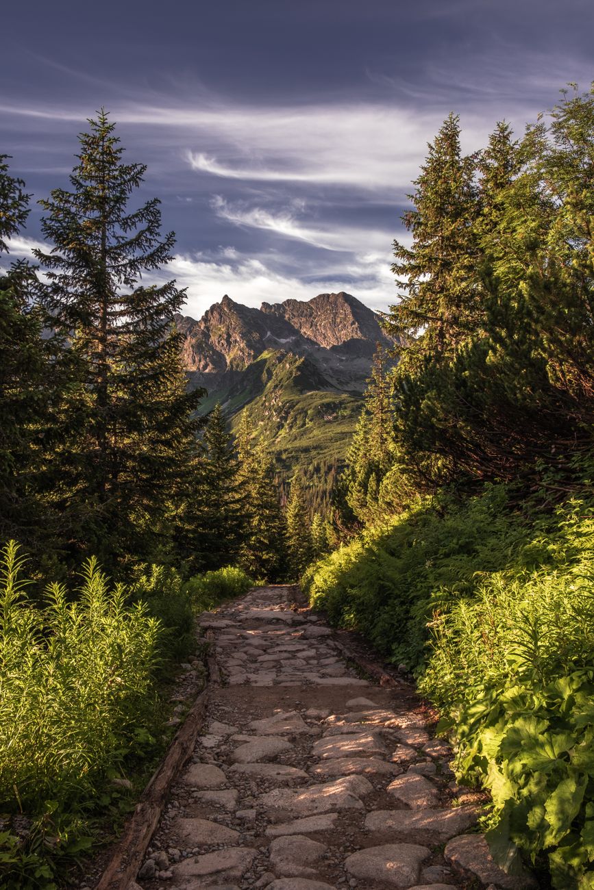 Discover a serene cobblestone path amidst lush green forest leading to majestic mountains under a vibrant sky in Zakopane.